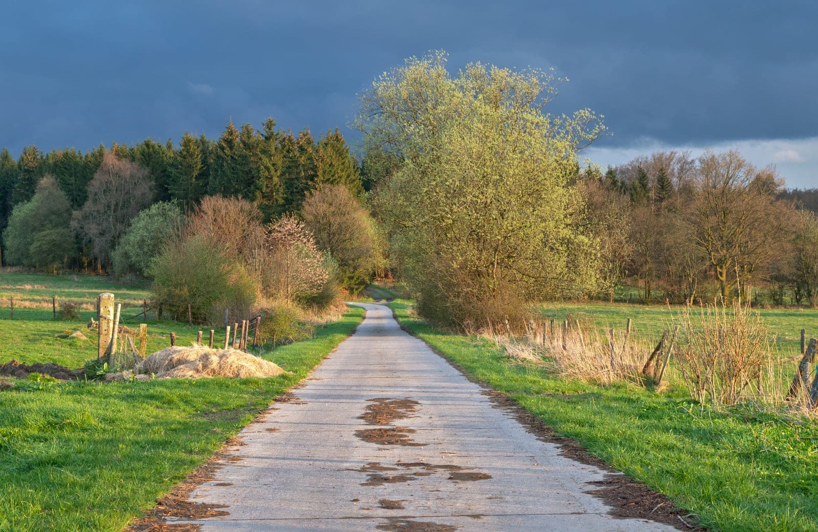 Una nueva ruta de senderismo unirá las Ardenas de Francia y Bélgica
