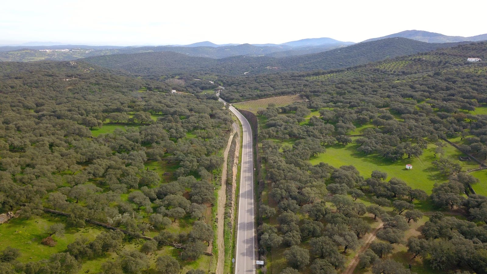 Estrellas y fauna en la España vacía