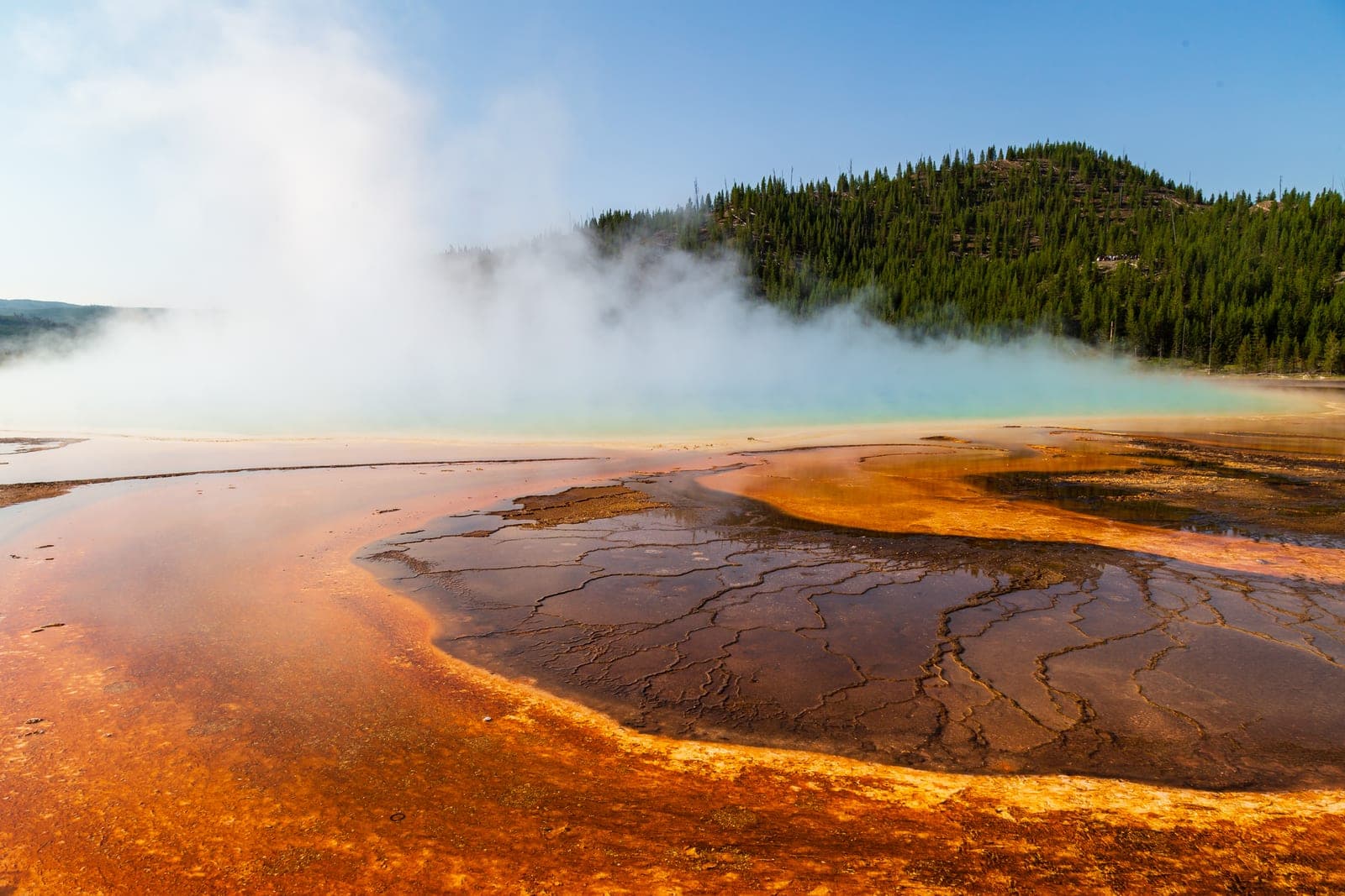 Guía para visitar Yellowstone con calma