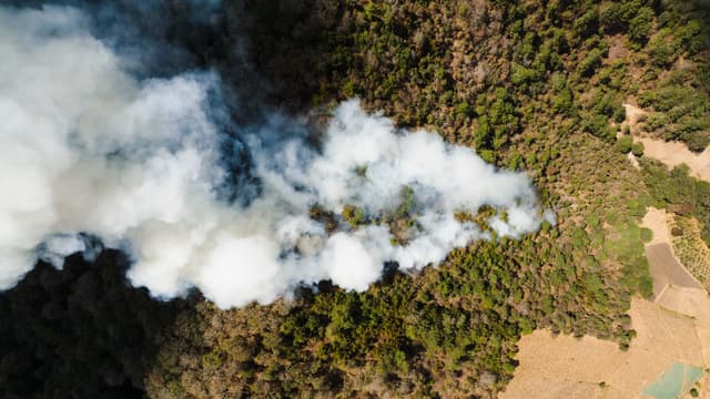 Europa ante los incendios y la política climática