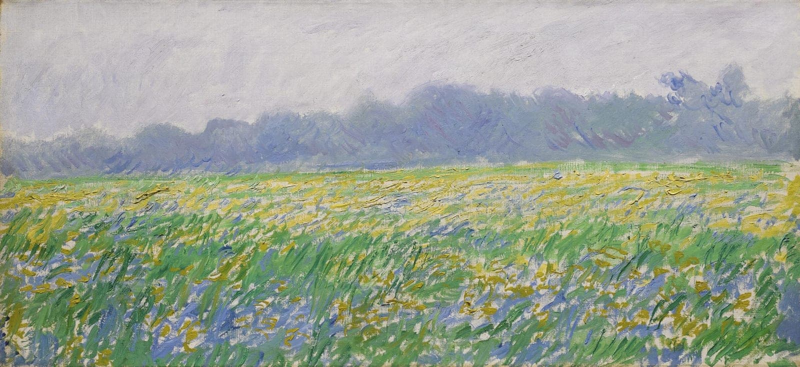 Un «Iris» de Monet puede batir el récord de las subastas en Francia